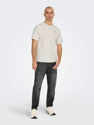 Only & Sons T-Shirt 'ONSDAWSON' offwhite