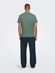 Only & Sons T-Shirt 'Max' schilf