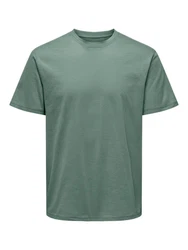 Only & Sons T-Shirt 'Max' schilf