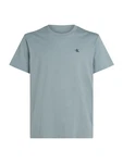 Calvin Klein Jeans T-Shirt basaltgrau / schwarz