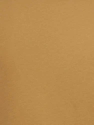 THE NORTH FACE T-Shirt 'Simple Dome' sepia