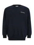 Jack & Jones Plus Sweatshirt 'JJEBRADLEY' marine/kirschrot/weiß