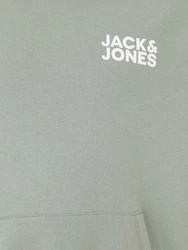 Jack & Jones Plus Sweatshirt 'JJEcorp' grn/wei
