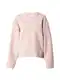 elvine Mikina 'Alba'  růže