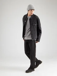 Iriedaily Pullover 'Seedy Summer' grau