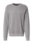 Iriedaily Pullover 'Seedy Summer' grau