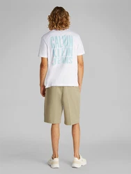 Calvin Klein Jeans T-Shirt jade/weiß