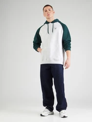 Iriedaily Sweatshirt De College hellgrau/tanne