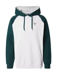 Iriedaily Sweatshirt De College hellgrau/tanne