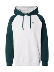 Iriedaily Sweatshirt De College hellgrau/tanne