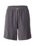 Iriedaily Shorts Sammy anthrazit