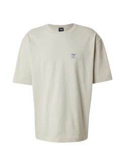Iriedaily T-Shirt 'Heavy Flag' greige Iriedaily T-Shirt 'Heavy Flag' greige