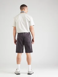 Iriedaily Shorts 'Corvin' anthrazit