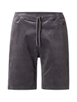 Iriedaily Shorts 'Corvin' anthrazit