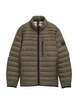 TOM TAILOR Jacke oliv