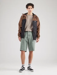 Iriedaily Shorts Nanolo grün