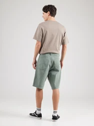 Iriedaily Shorts Nanolo grün