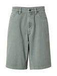 Iriedaily Shorts Nanolo grün