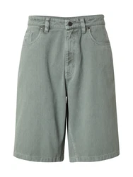 Iriedaily Shorts Nanolo grün