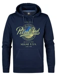 Petrol Industries Sweatshirt 'Biscuit' blau/navy/grün