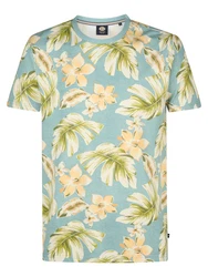 Petrol Industries T-Shirt beige / pastellblau / kiwi / apricot
