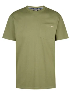 Petrol Industries T-Shirt 'Reefpark' oliv