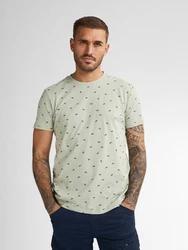 Petrol Industries T-Shirt 'Gulfcrest' oliv/pastellgrün/rostrot