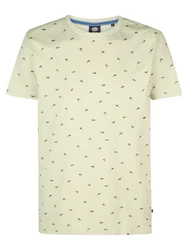 Petrol Industries T-Shirt 'Gulfcrest' oliv/pastellgrün/rostrot