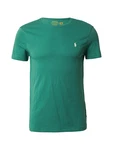 Polo Ralph Lauren Shirt T-Shirt grün/weiß