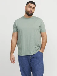 Jack & Jones Plus T-Shirt JJEPaulos pastellgrün/weiß