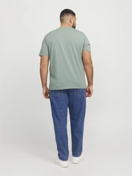 Jack & Jones Plus T-Shirt JJEPaulos pastellgrün/weiß