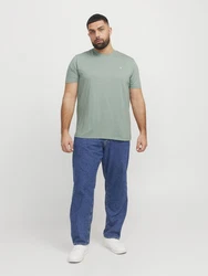 Jack & Jones Plus T-Shirt JJEPaulos pastellgrün/weiß