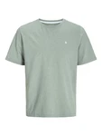 Jack & Jones Plus T-Shirt JJEPaulos pastellgrün/weiß
