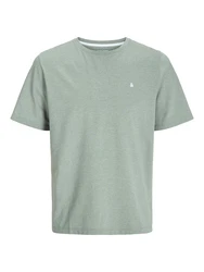 Jack & Jones Plus T-Shirt JJEPaulos pastellgrün/weiß