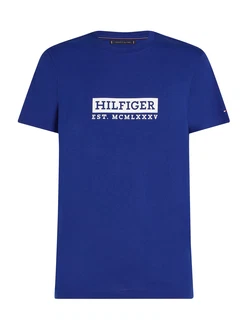 TOMMY HILFIGER T-Shirt blau/weiß