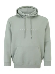Jack & Jones Plus Sweatshirt Star pastellgrün/weiß