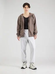 Carhartt WIP Hose 'Chase' hellgrau