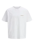 JACK & JONES T-Shirt JORISLINGTON curry/mandarine/weiß