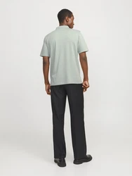 Jack & Jones T-Shirt JJRODNEY pastellgrün