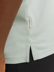 Jack & Jones T-Shirt JJRODNEY pastellgrün