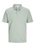 Jack & Jones T-Shirt JJRODNEY pastellgrün