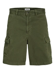 JACK & JONES Shorts JPSTKARL AVERY oliv
