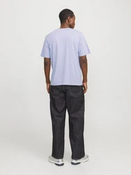 JACK & JONES T-Shirt JORVesterbro hellblau/weiß
