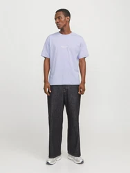 JACK & JONES T-Shirt JORVesterbro hellblau/weiß