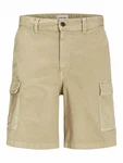 JACK & JONES Shorts JPSTKARL AVERY dunkelbeige