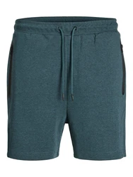 JACK & JONES Shorts 'JPSTGORDON FUSION' nachtblau