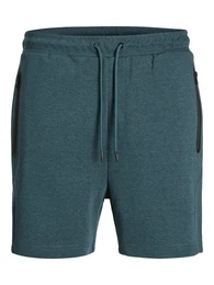 Shorts 'JPSTGordon' nachtblau