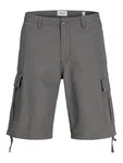 JACK & JONES Shorts JPSTCole Barkley grau JACK & JONES Shorts JPSTCole Barkley grau