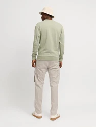 JACK & JONES Hose JPSTKANE JONNIE hellgrau