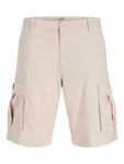 JACK & JONES Shorts JPSTCOLE JJJONNIE greige